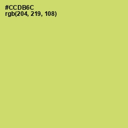 #CCDB6C - Chenin Color Image