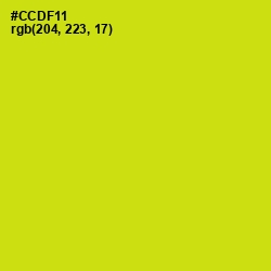 #CCDF11 - Bird Flower Color Image