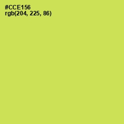 #CCE156 - Wattle Color Image