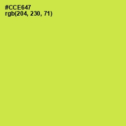 #CCE647 - Wattle Color Image