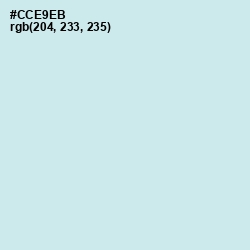 #CCE9EB - Jagged Ice Color Image
