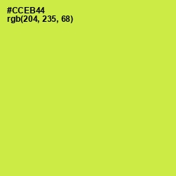 #CCEB44 - Wattle Color Image