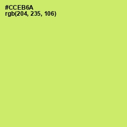 #CCEB6A - Yellow Green Color Image