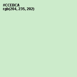 #CCEBCA - Surf Crest Color Image