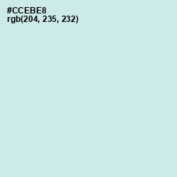 #CCEBE8 - Jagged Ice Color Image