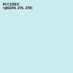 #CCEBEE - Jagged Ice Color Image