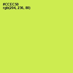 #CCEC50 - Wattle Color Image