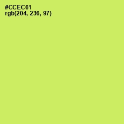 #CCEC61 - Yellow Green Color Image