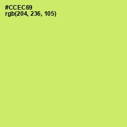 #CCEC69 - Yellow Green Color Image