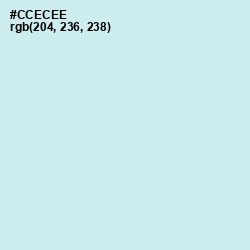 #CCECEE - Jagged Ice Color Image