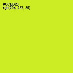 #CCED23 - Pear Color Image