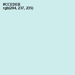 #CCEDEB - Jagged Ice Color Image