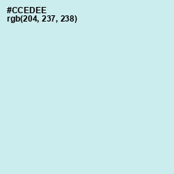 #CCEDEE - Jagged Ice Color Image