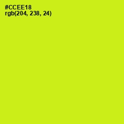 #CCEE18 - Las Palmas Color Image