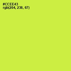 #CCEE43 - Wattle Color Image