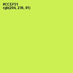 #CCEF51 - Wattle Color Image