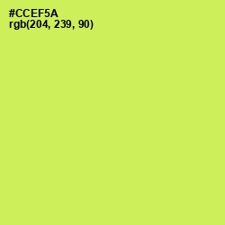 #CCEF5A - Wattle Color Image