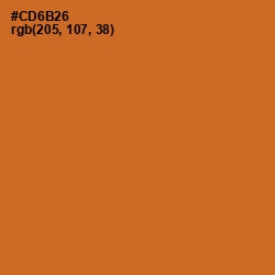 #CD6B26 - Piper Color Image