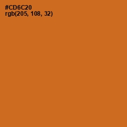 #CD6C20 - Piper Color Image