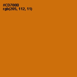 #CD700B - Indochine Color Image