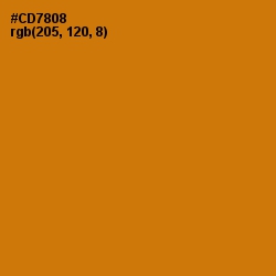 #CD7808 - Meteor Color Image