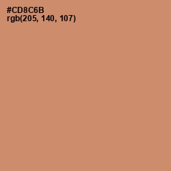 #CD8C6B - Antique Brass Color Image