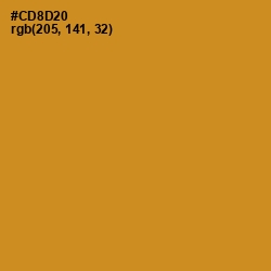 #CD8D20 - Brandy Punch Color Image
