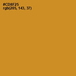 #CD8F25 - Brandy Punch Color Image