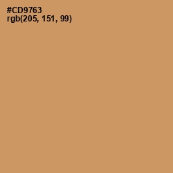 #CD9763 - Antique Brass Color Image