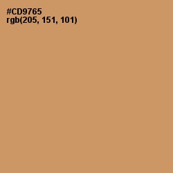 #CD9765 - Whiskey Color Image