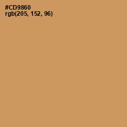#CD9860 - Antique Brass Color Image