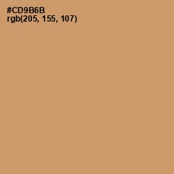 #CD9B6B - Whiskey Color Image