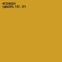 #CD9D25 - Nugget Color Image