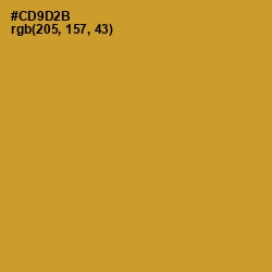 #CD9D2B - Nugget Color Image