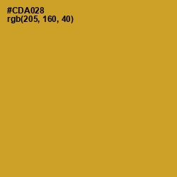 #CDA028 - Hokey Pokey Color Image