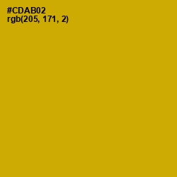 #CDAB02 - Buddha Gold Color Image