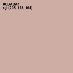 #CDADA4 - Bison Hide Color Image