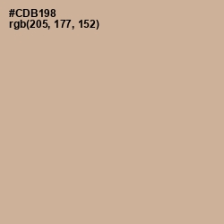 #CDB198 - Rodeo Dust Color Image