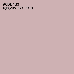 #CDB1B3 - Cold Turkey Color Image