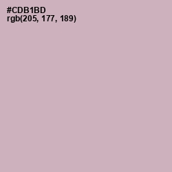 #CDB1BD - Cold Turkey Color Image