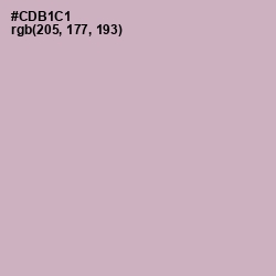 #CDB1C1 - Pale Slate Color Image