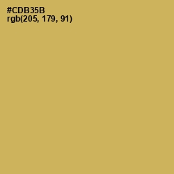 #CDB35B - Sundance Color Image