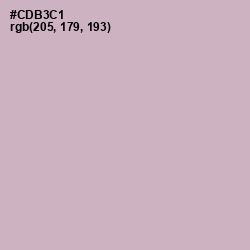 #CDB3C1 - Pale Slate Color Image