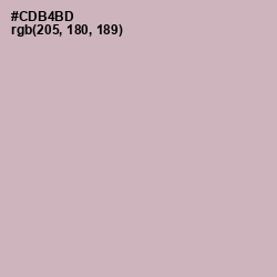 #CDB4BD - Cold Turkey Color Image