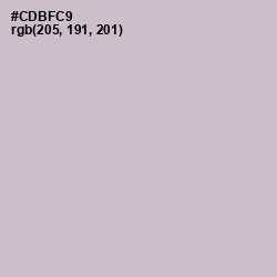 #CDBFC9 - Gray Suit Color Image