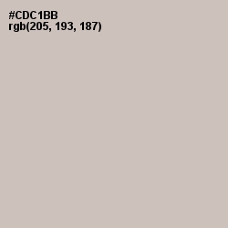 #CDC1BB - Silver Rust Color Image