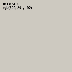#CDC9C0 - Pumice Color Image