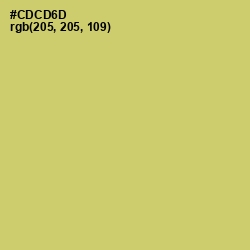 #CDCD6D - Tacha Color Image