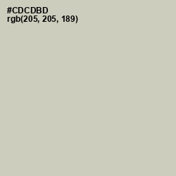 #CDCDBD - Foggy Gray Color Image