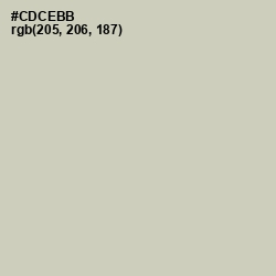 #CDCEBB - Foggy Gray Color Image